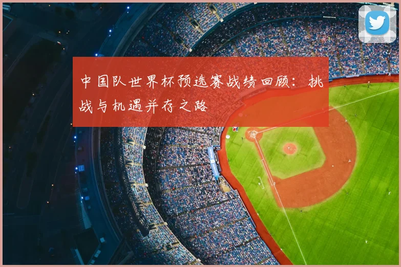 中国队世界杯预选赛战绩回顾：挑战与机遇并存之路